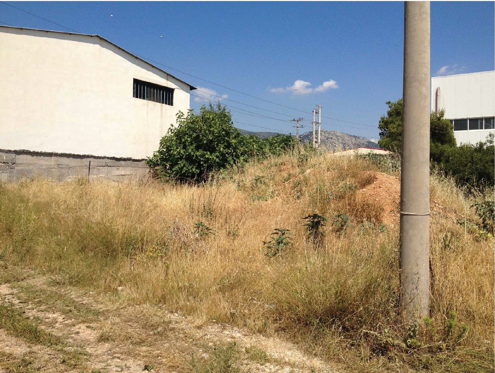 Βιομηχανικό Ακίνητο 7.200 τ.μ. σε Έκταση 49,5 Στρεμμάτων